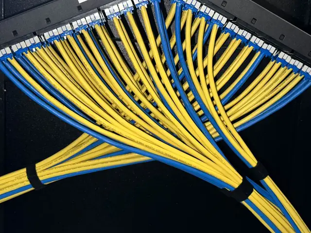 Patch panel terminations with color-coded cables